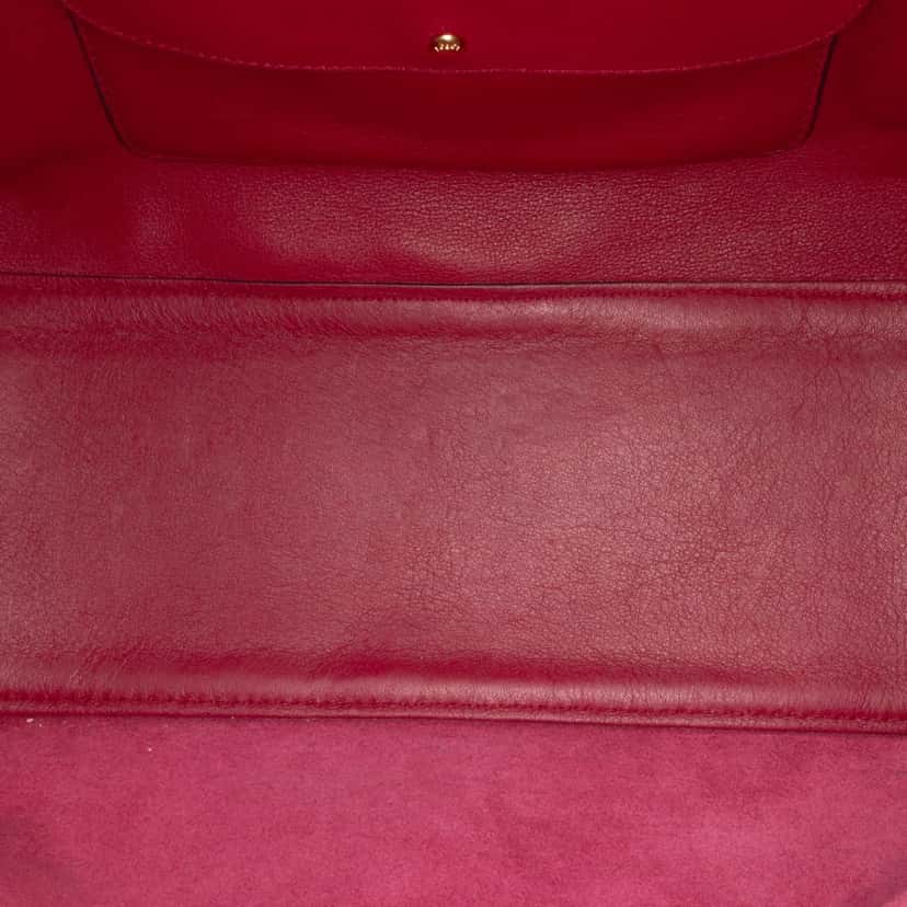 Loewe Special Edition Bicolor Leather Amazona 36 Red Leather Good condition - Model View