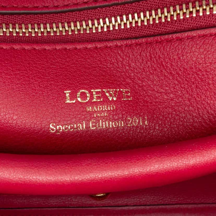 Loewe Special Edition Bicolor Leather Amazona 36 Red Leather Good condition - Box View