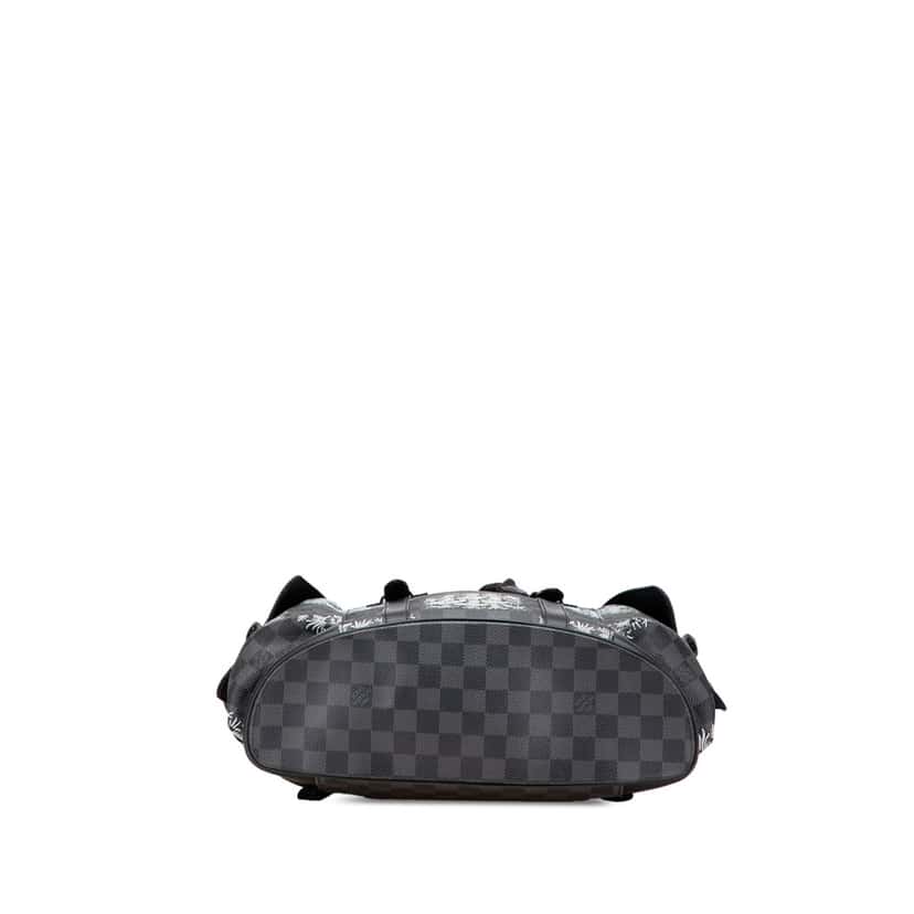 Louis Vuitton Nemeth Damier Graphite Christopher Backpack PM Black Canvas Good condition - Inside View