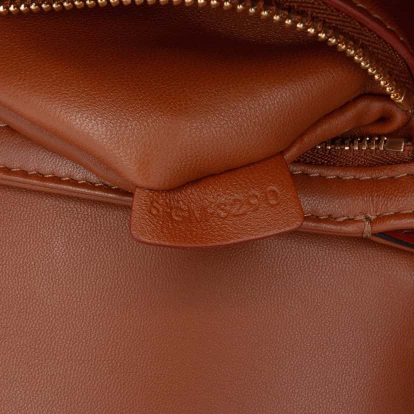 Celine Teen Canvas and Calfskin Triomphe Crossbody Brown Canvas Good condition - Box View