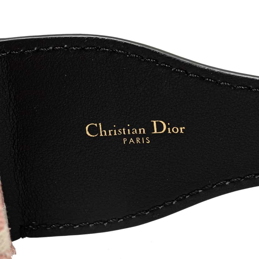 Dior Wide Embroidered Canvas Waist Belt Pink Canvas Good condition - Model View