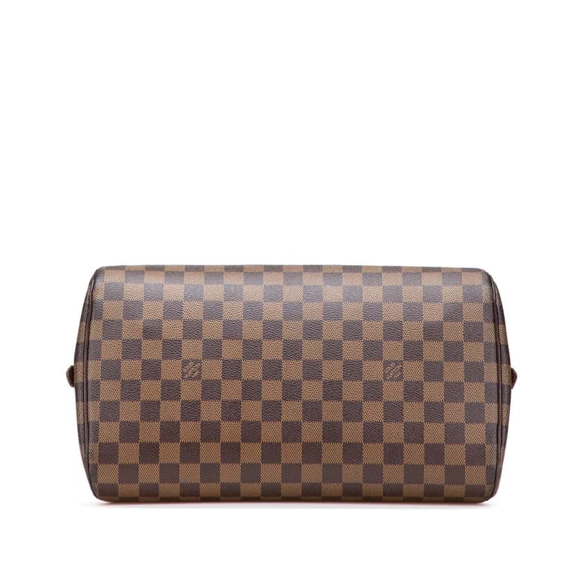 Louis Vuitton Damier Ebene Ribera MM Brown Canvas Good condition - Inside View