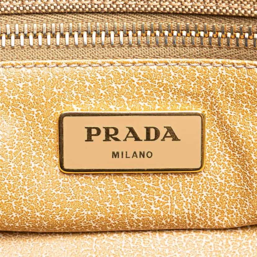 Prada Canvas Canapa Logo Tote Brown Canvas Good condition - Box View