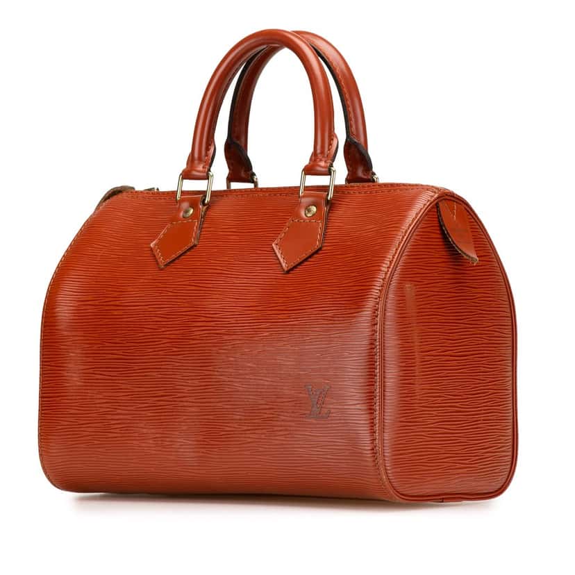Louis Vuitton Epi Speedy 25 Brown Leather Good condition - Back View