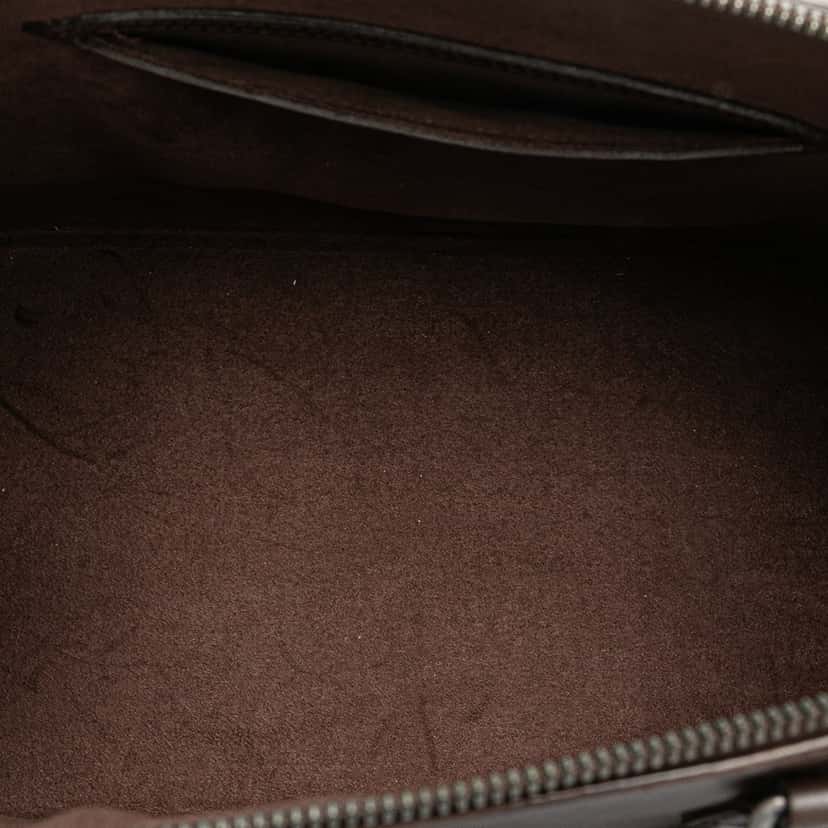 Louis Vuitton Epi Alma PM Brown Leather Good condition - Model View