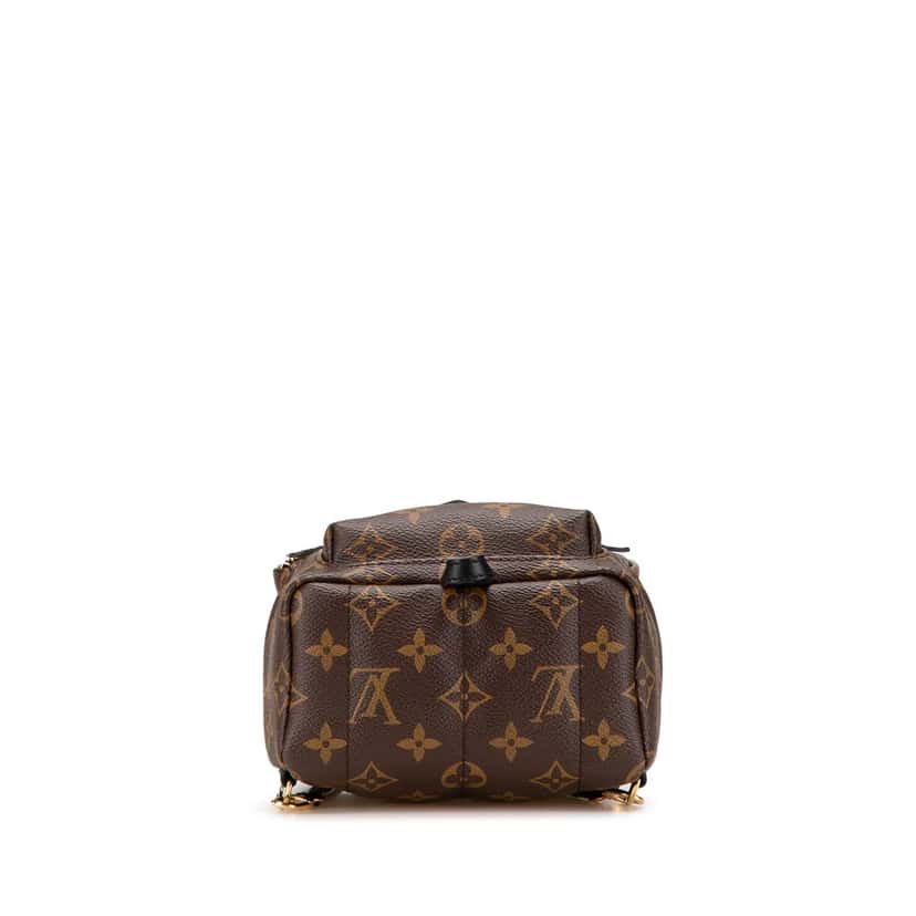Louis Vuitton Monogram Mini Palm Springs Brown Canvas Good condition - Inside View