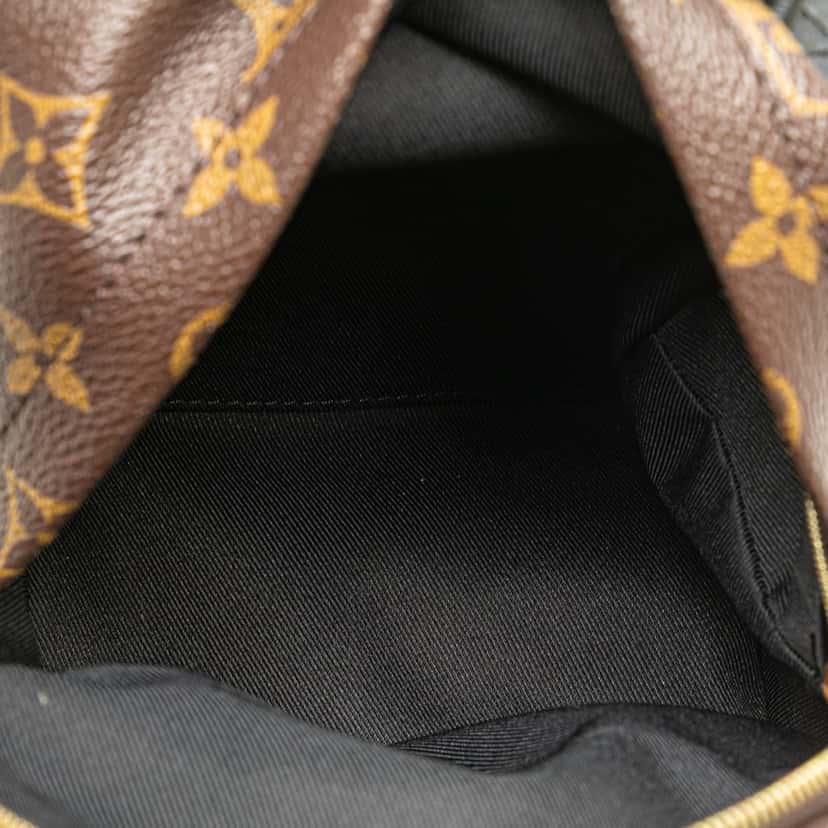 Louis Vuitton Monogram Mini Palm Springs Brown Canvas Good condition - Model View