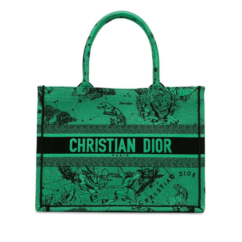 Dior Medium Embroidered Canvas Book Tote Green Canvas Good condition - Front View