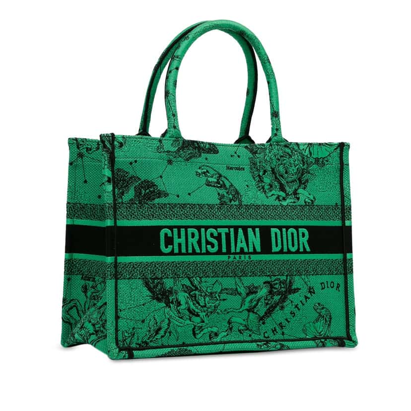 Dior Medium Embroidered Canvas Book Tote Green Canvas Good condition - Back View