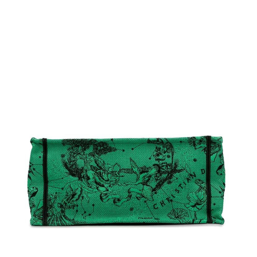Dior Medium Embroidered Canvas Book Tote Green Canvas Good condition - Model View