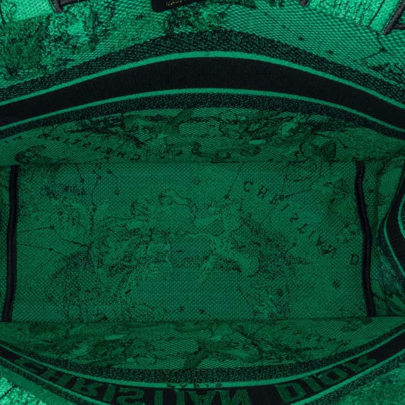 Dior Medium Embroidered Canvas Book Tote Green Canvas Good condition - Box View