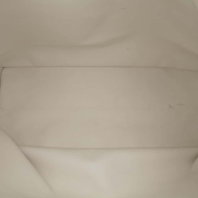 Goyard Goyardine Saint Louis PM White Canvas Good condition - Model View