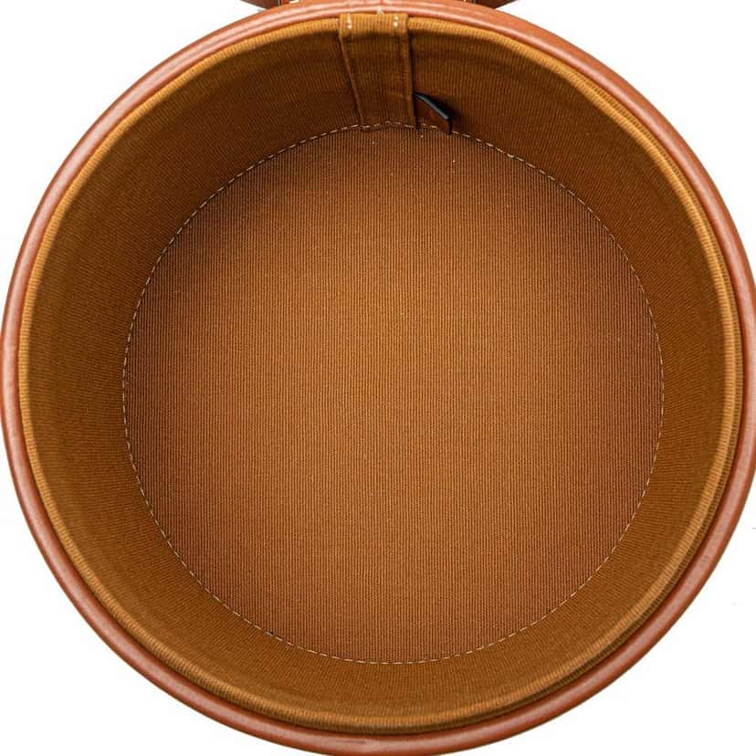 Celine Medium Triomphe Coated Canvas Tambour Crossbody Brown Canvas Good condition - Model View