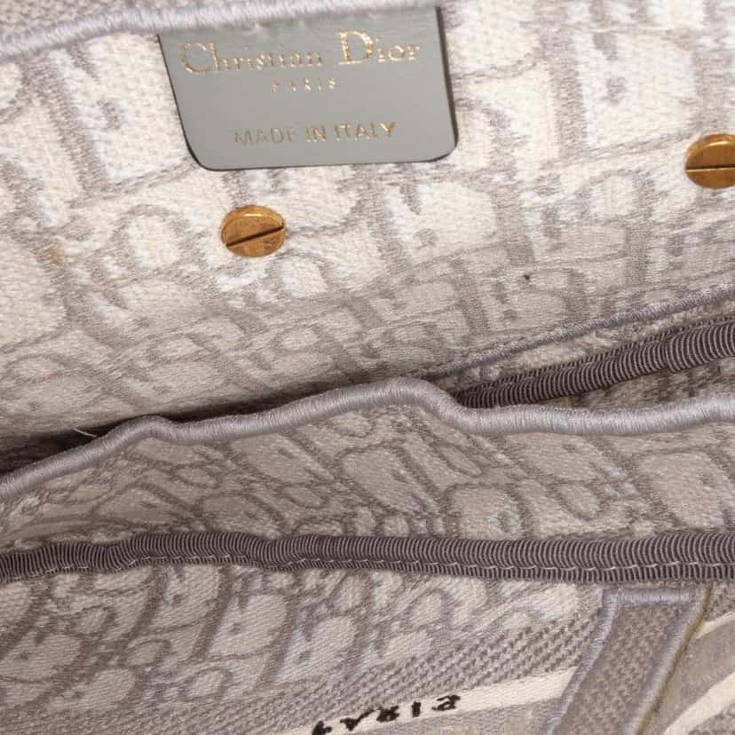 Dior Oblique Canvas Embroidered Saddle Bag Grey Canvas Good condition - Model View