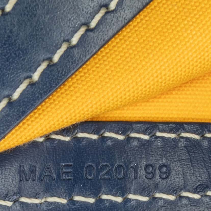 Goyard Goyardine Sac Cap Vert Blue Canvas Good condition - Box View