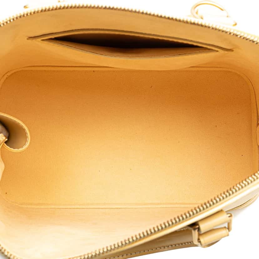 Louis Vuitton Epi Alma PM Brown Leather Good condition - Model View