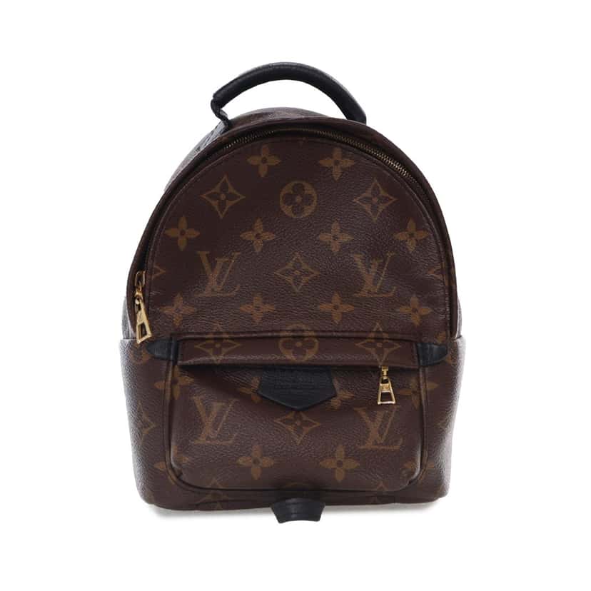 Louis Vuitton Monogram Mini Palm Springs Brown Canvas Good condition - Front View