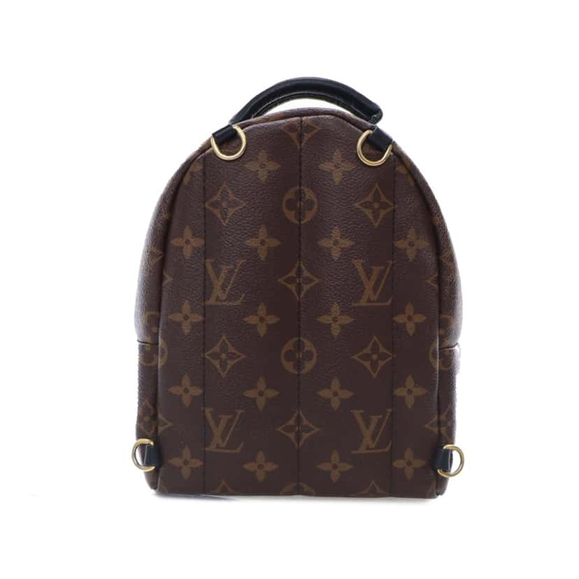 Louis Vuitton Monogram Mini Palm Springs Brown Canvas Good condition - Back View