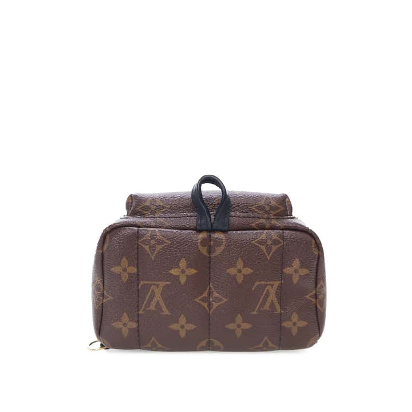 Louis Vuitton Monogram Mini Palm Springs Brown Canvas Good condition - Inside View