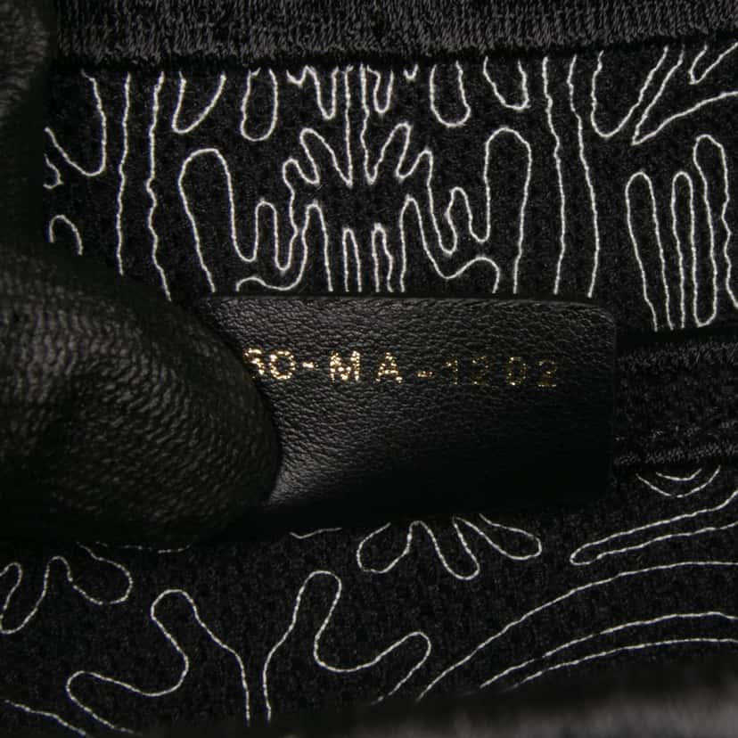 Dior Canvas Embroidered Ornamental Cornely Saddle Bag Black Canvas Good condition - Box View