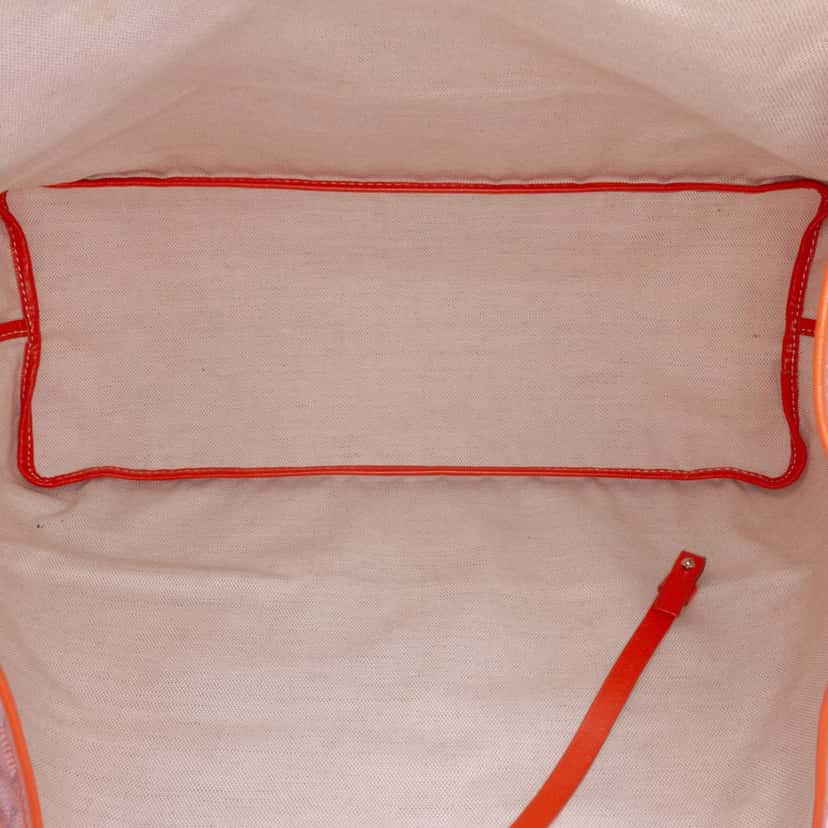 Goyard Goyardine Saint Louis PM Orange Canvas Good condition - Box View