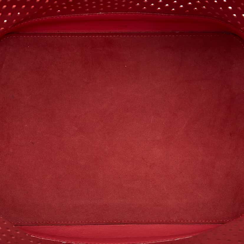Louis Vuitton x Sofia Coppola Flore Perforated Noe Red Leather Good condition - Box View