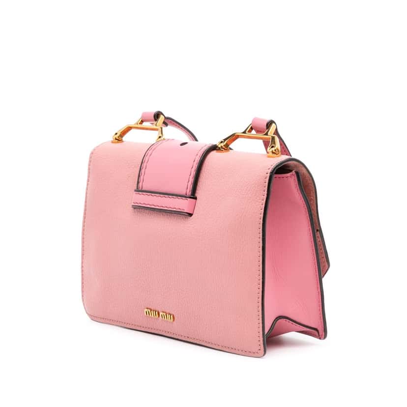 Miu Miu Goatskin Madras Soft Calf Crystal Embellished Crossbody Pink Leather Good condition - Back View