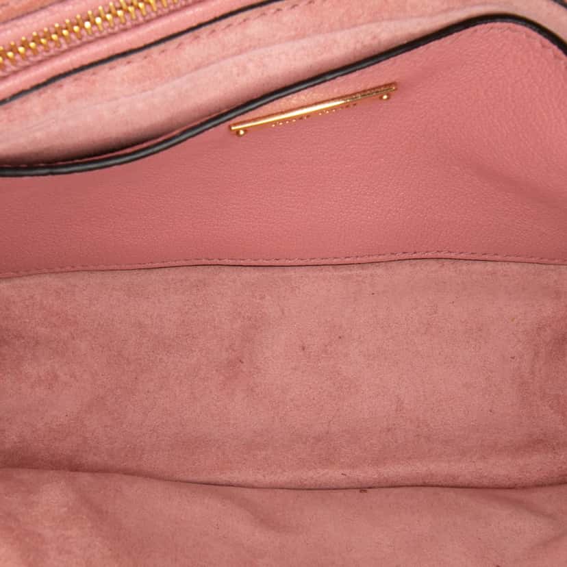 Miu Miu Goatskin Madras Soft Calf Crystal Embellished Crossbody Pink Leather Good condition - Model View
