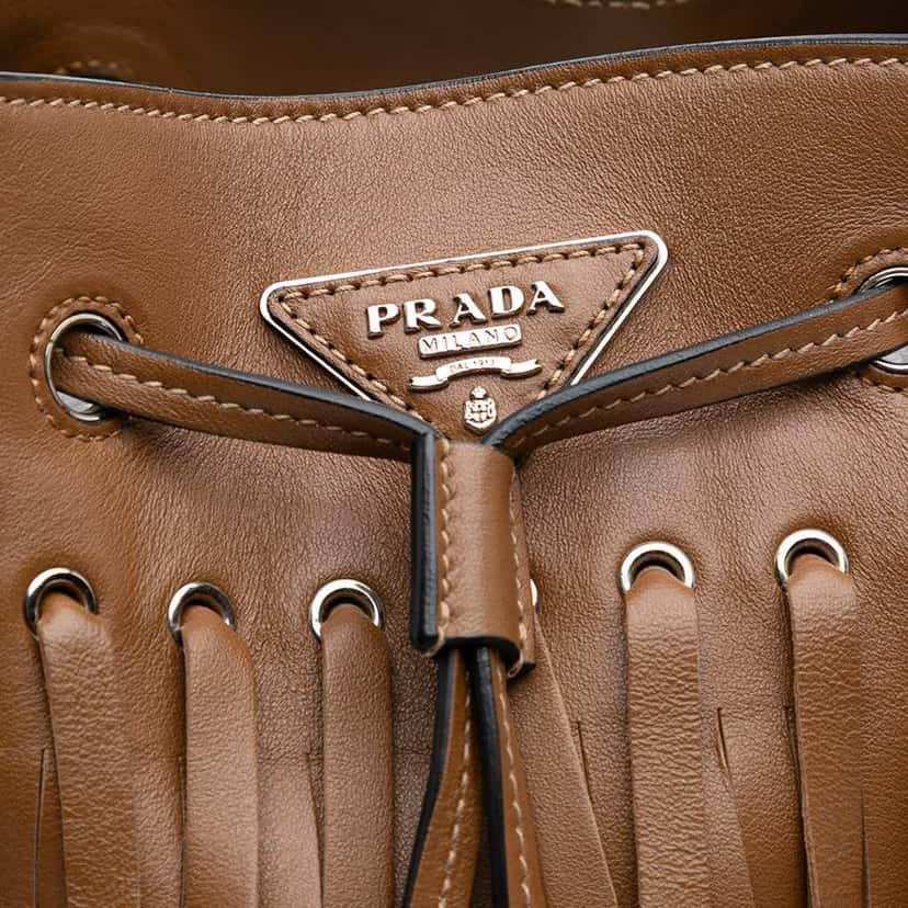 Prada Soft Calf Fringe Bucket Bag Brown Leather Good condition - Box View