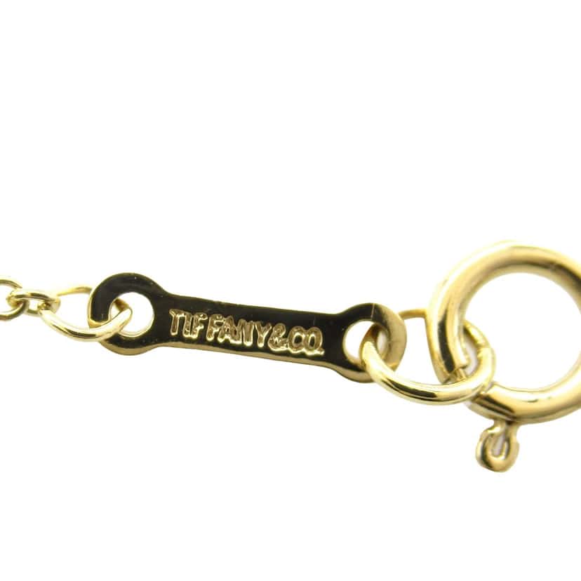 Tiffany & Co 18K Yellow Gold Paloma Picasso Capricorn Pendant Necklace Gold Gold Good condition - Box View