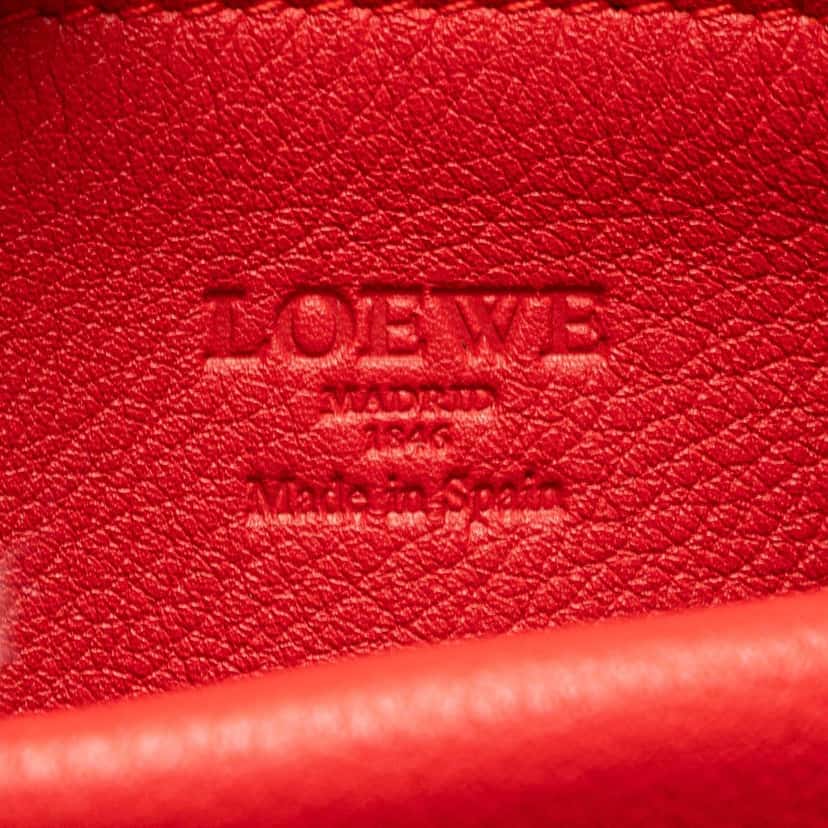 Loewe Suede Amazona 36 Orange Leather Good condition - Box View