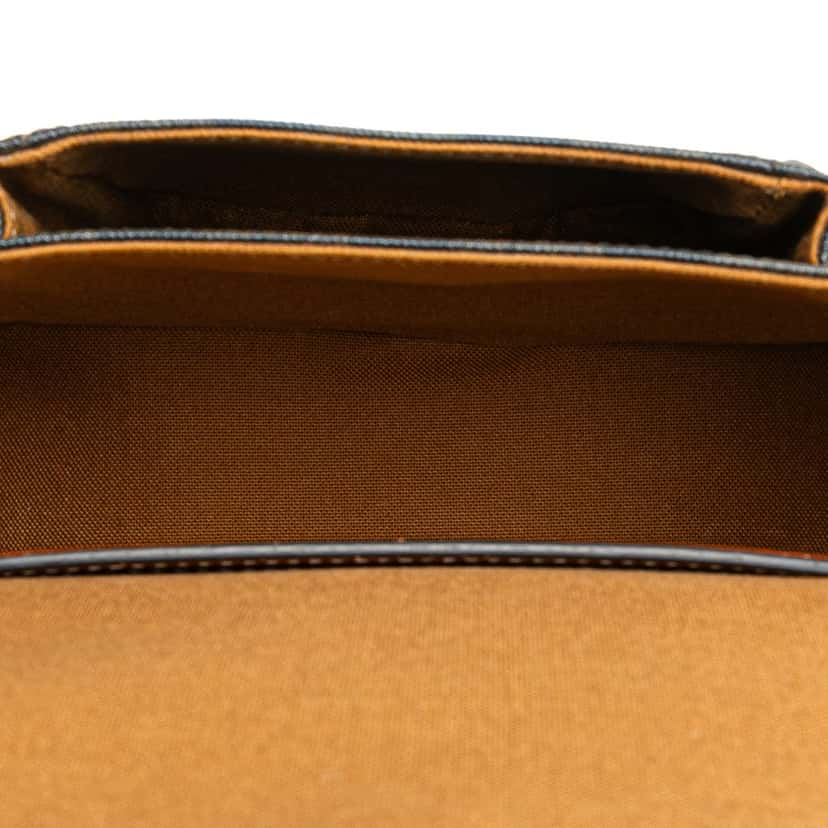 Celine Medium Triomphe Coated Canvas Folco Crossbody Brown Canvas Good condition - Model View