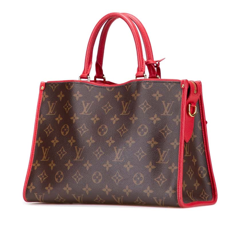 Louis Vuitton Monogram Popincourt PM Brown Canvas Good condition - Back View