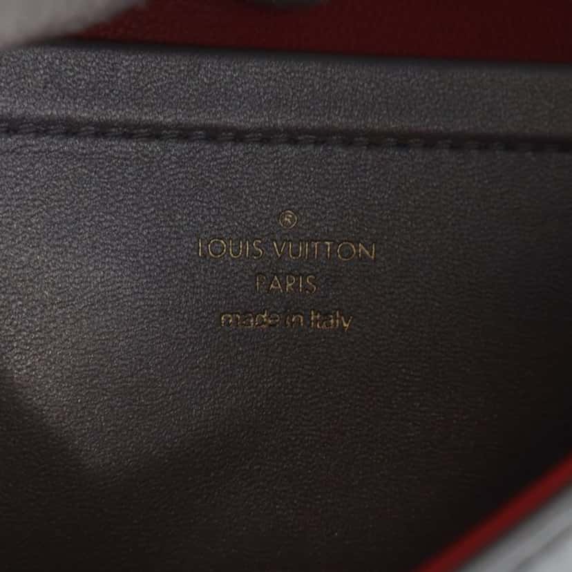 Louis Vuitton Monogram Embossed Lambskin Pochette Coussin Silver Leather Good condition - Box View