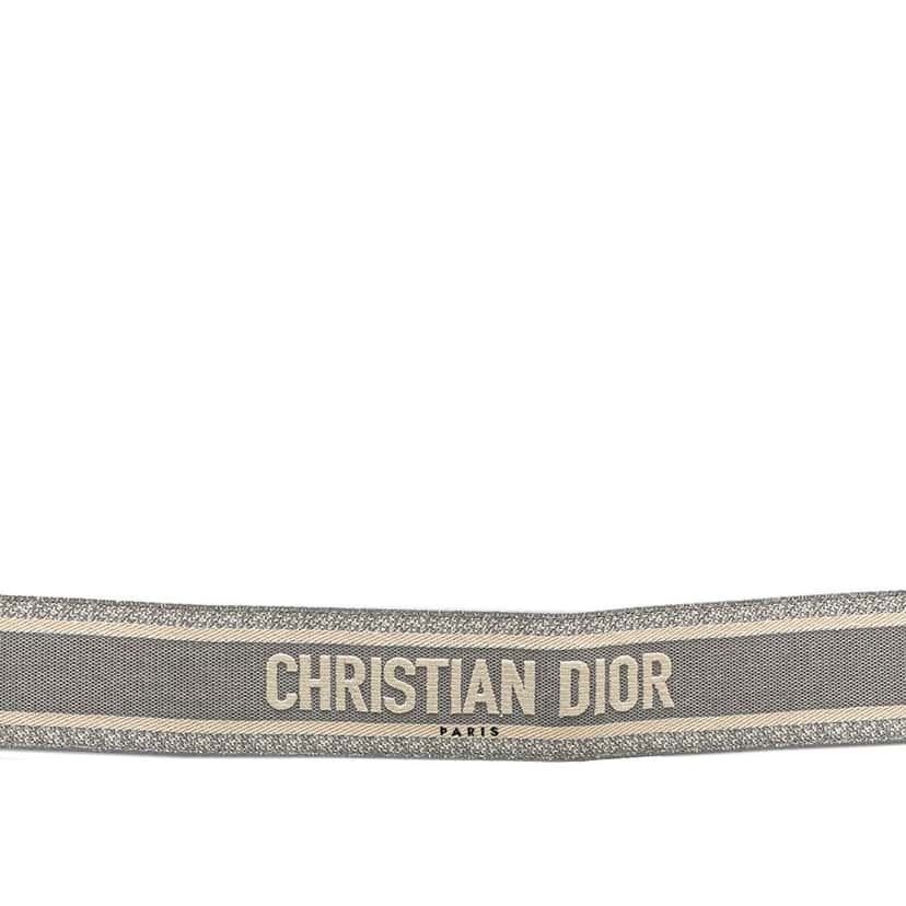 Dior Embroidered Logo Strap Grey Canvas Very good condition - Back View
