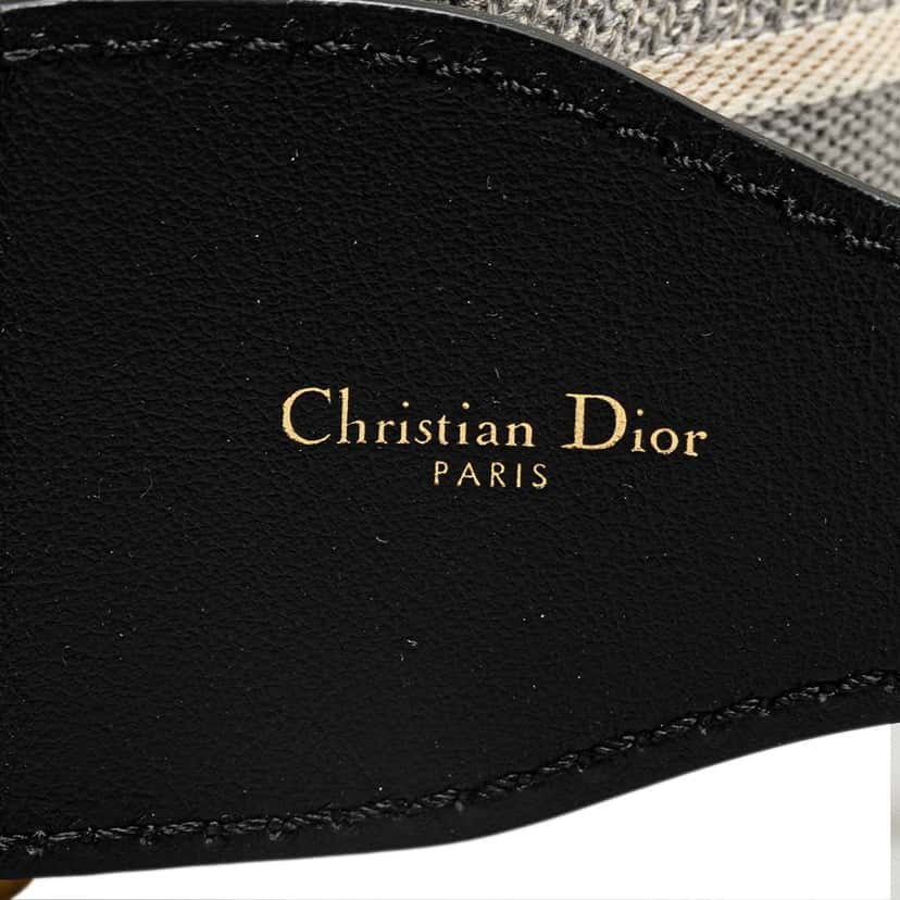 Dior Embroidered Logo Strap Grey Canvas Very good condition - Model View