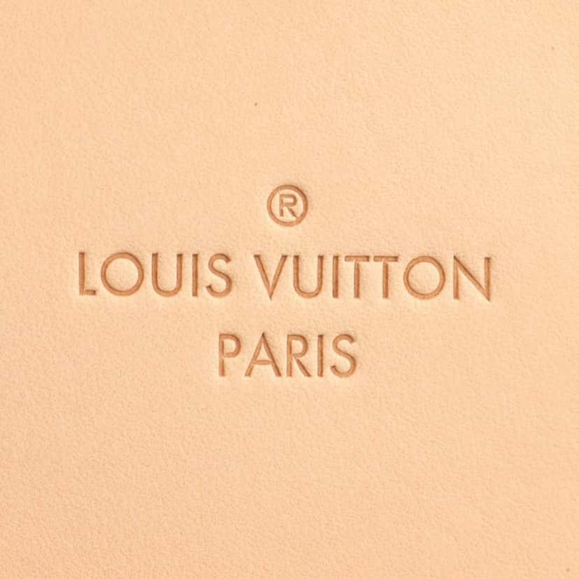 Louis Vuitton Monogram Zephyr 50 Brown Canvas Very good condition - Model View