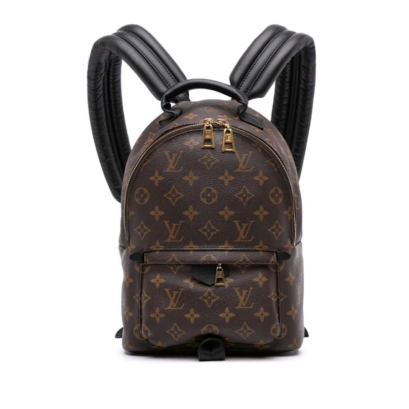 Louis Vuitton Monogram Palm Springs PM Brown Canvas Good condition - Front View