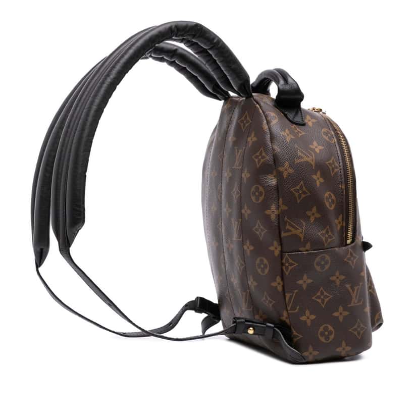 Louis Vuitton Monogram Palm Springs PM Brown Canvas Good condition - Back View