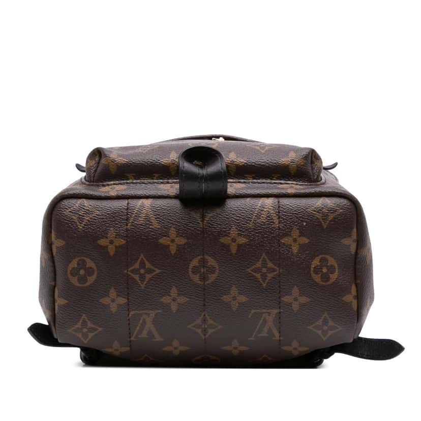 Louis Vuitton Monogram Palm Springs PM Brown Canvas Good condition - Inside View