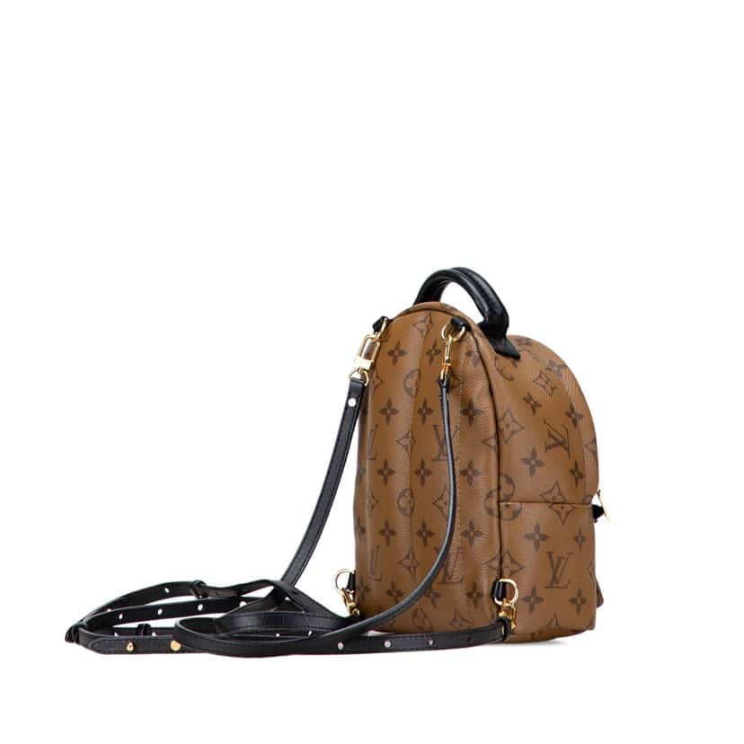 Louis Vuitton Monogram Reverse Mini Palm Springs Brown Canvas Very good condition - Back View