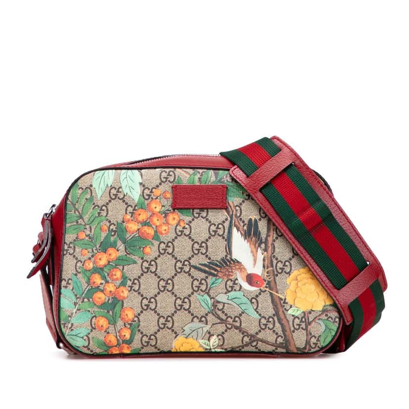 Gucci GG Supreme Tian Crossbody Brown Canvas Good condition - Front View
