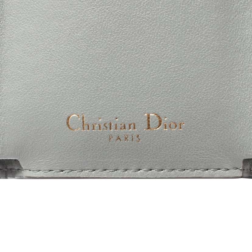 Dior Grained Calfskin Saddle Trifold Wallet Grey Leather Good condition - Model View