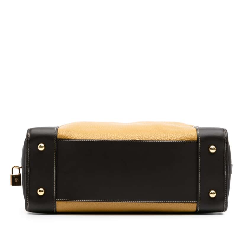 Loewe Tricolor Leather Amazona 36 Brown Leather Good condition - Inside View