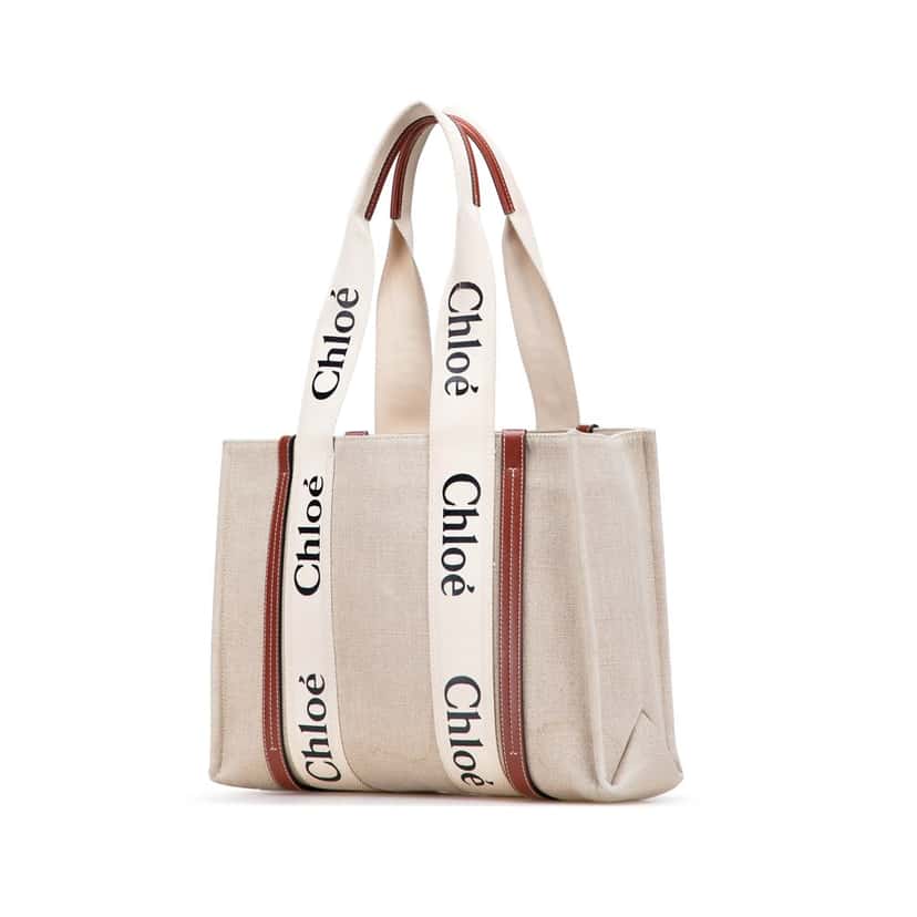 Chloé Medium Canvas Woody Tote Brown Canvas Good condition - Back View
