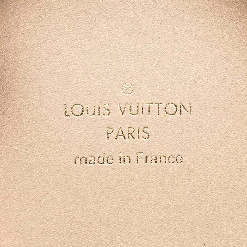 Louis Vuitton Monogram Horizon Wireless Earphones Case Brown Canvas Good condition - Model View