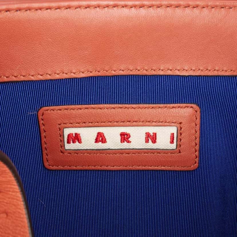 Marni Shearling Chain Crossbody Pink Very good condition - Box View