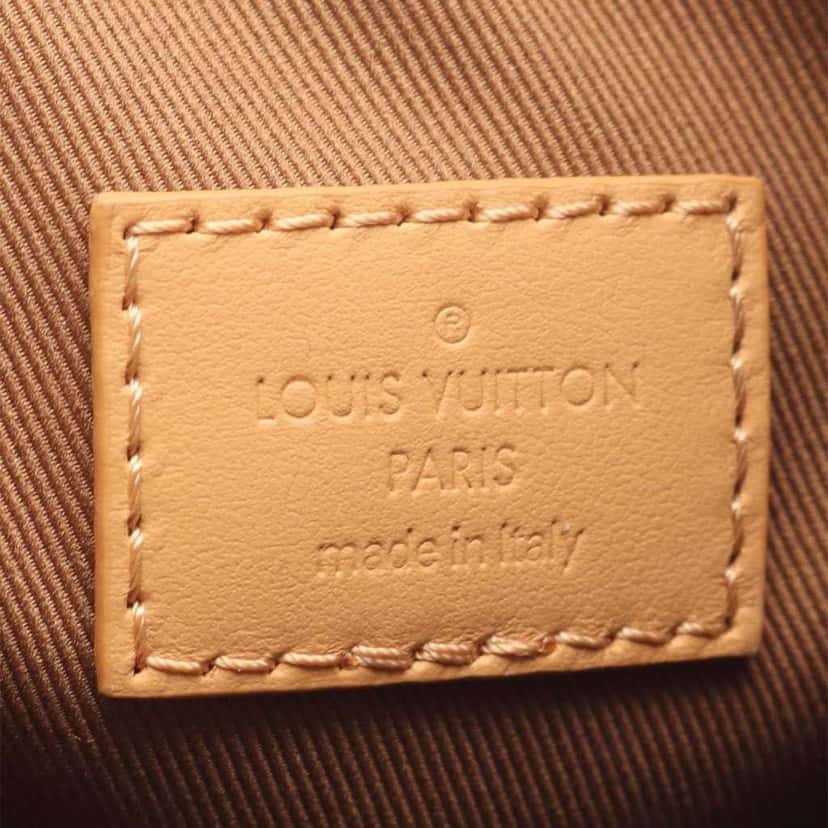 Louis Vuitton Grained Calfskin and Monogram Hobo Cargo Brown Leather Good condition - Model View