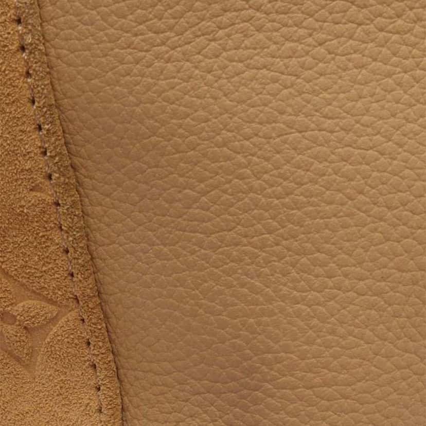 Louis Vuitton Grained Calfskin and Monogram Hobo Cargo Brown Leather Good condition - Box View
