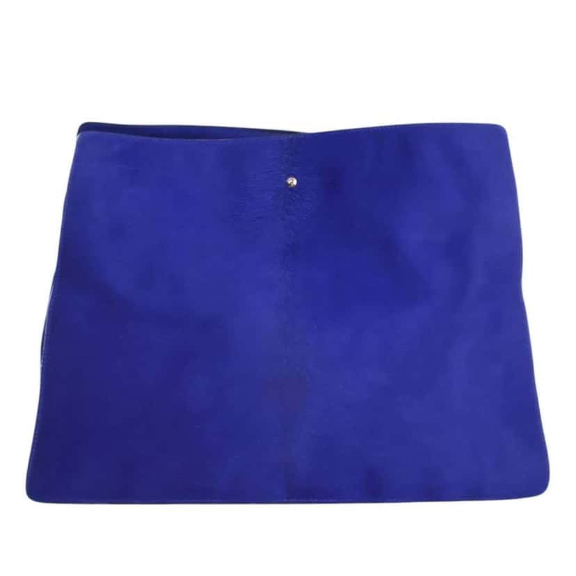 Celine Pony Hair New Shoulder Bag Blue Good condition - Model View